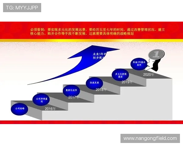 英国雷丁顿联俱乐部发展历程与未来战略分析探讨