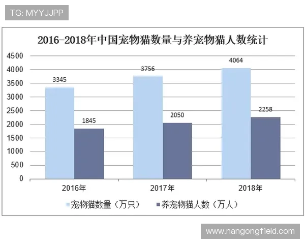 重庆超级联赛最新赛季数据分析与战绩趋势研究